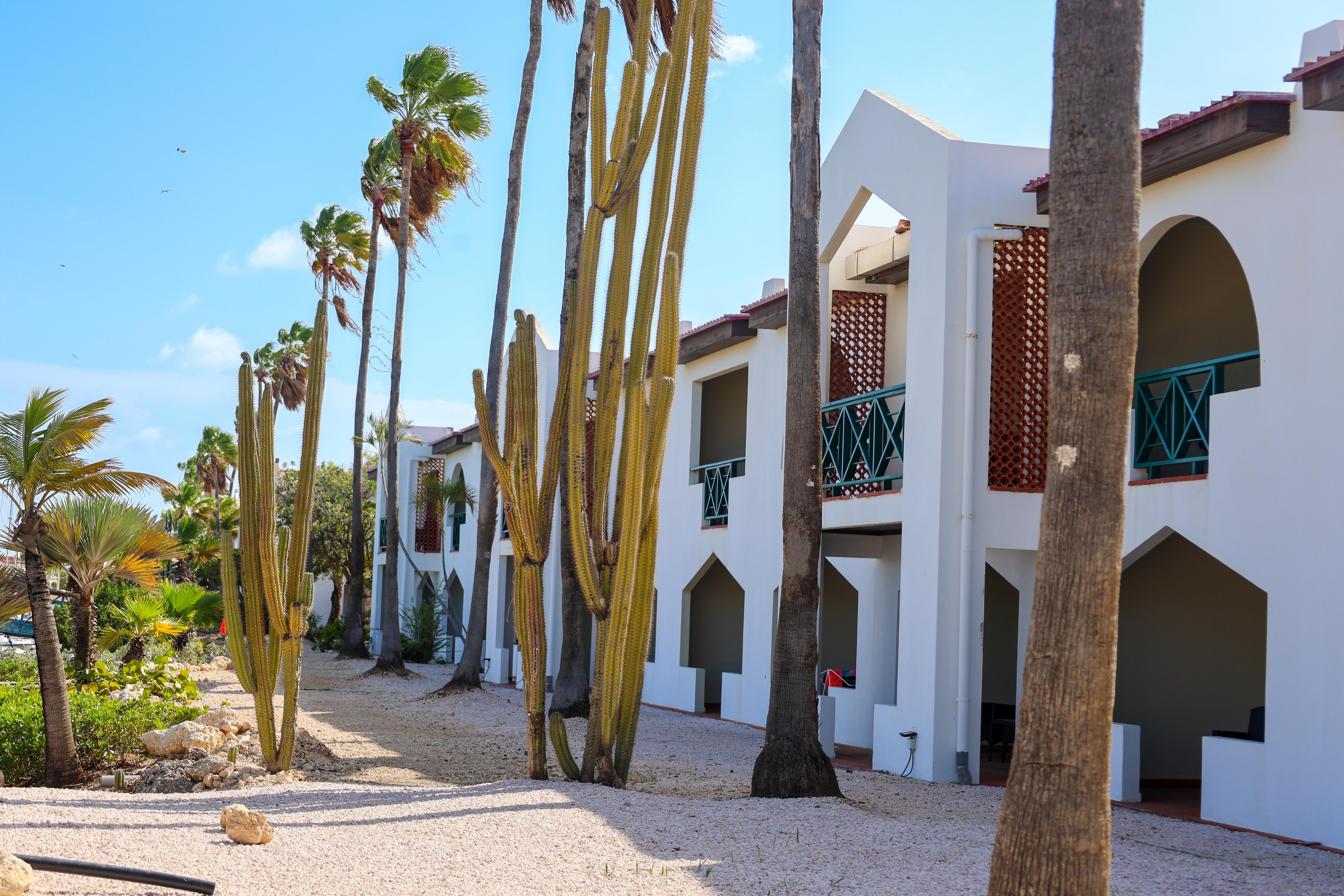 Van Der Valk Plaza Beach & Dive Resort Bonaire 크랄렌데이크 외부 사진